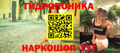 прущие грибы Дубна