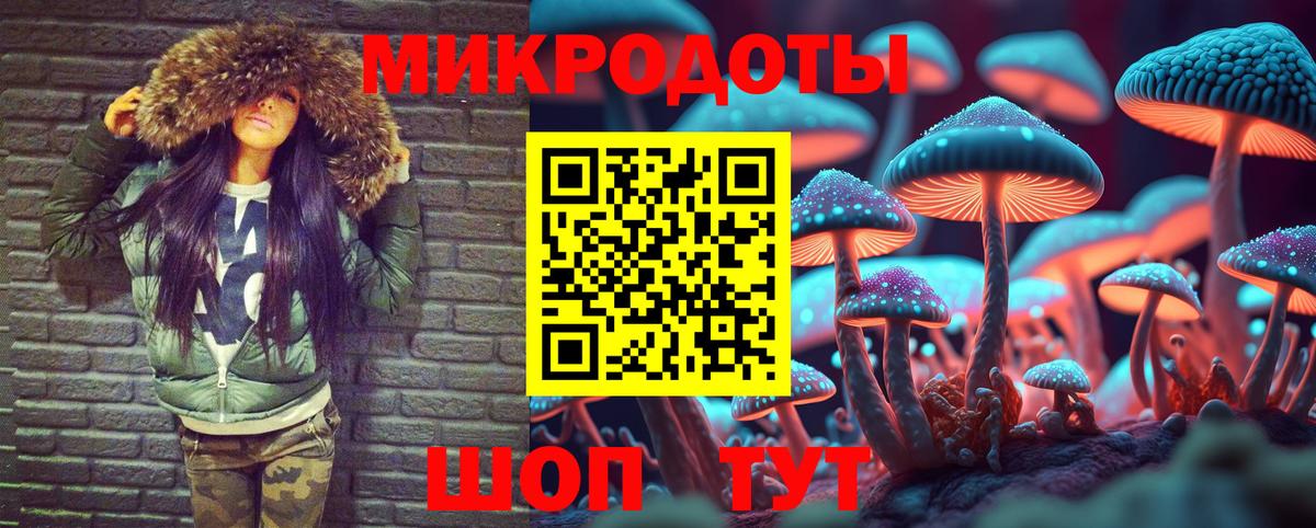 Лабытнанги  Галлюциногенные грибы Psilocybe  Вход с VPN 