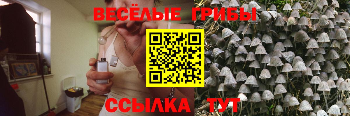 Галлюциногенные грибы мицелий Лабытнанги